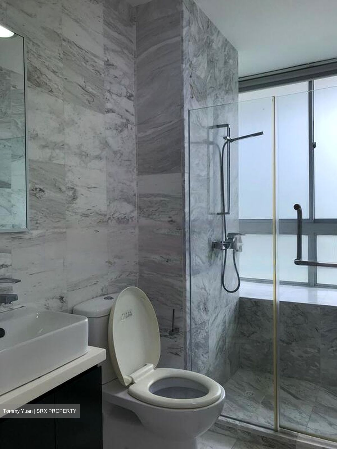Zenith (D10), Apartment #473452171